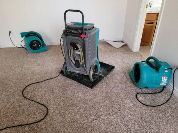 Best Ceiling water damage repair  in Cherry Valley, IL