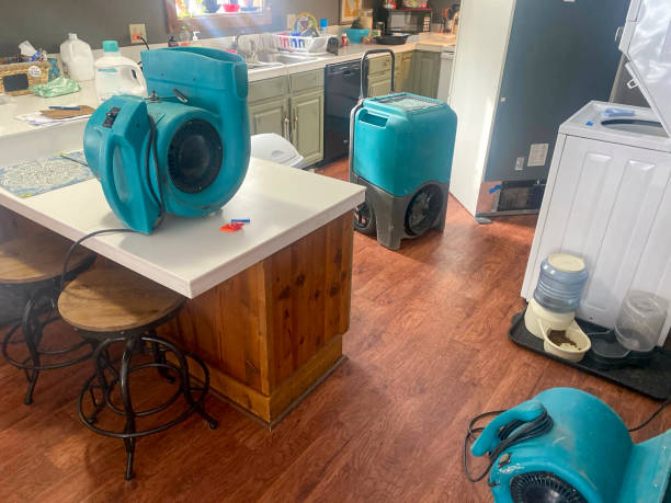 Best Water damage restoration near me  in Cherry Valley, IL