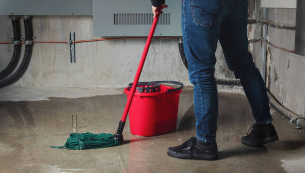 Best Local water damage restoration  in Cherry Valley, IL