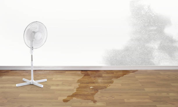 Best Flooded house restoration  in Cherry Valley, IL