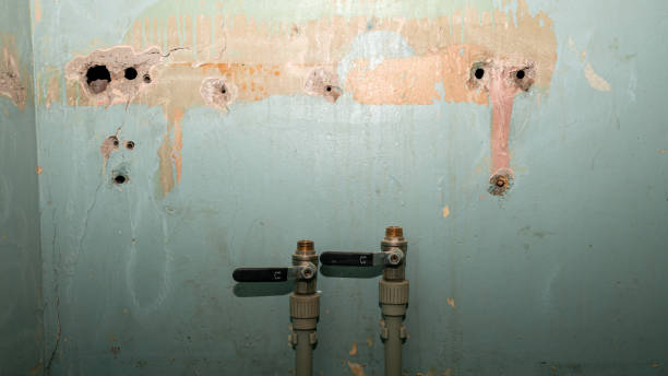 Best Professional water damage repair  in Cherry Valley, IL