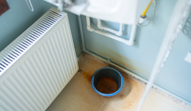 Best Water damage repair service  in Cherry Valley, IL